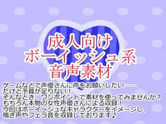 ボーイッシュ系音声素材集