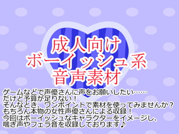 ボーイッシュ系音声素材集 [Junky-Soft]