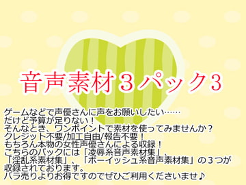 音声素材集3パック3 [Junky-Soft]