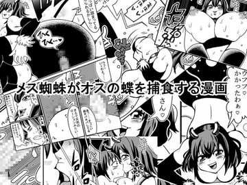 メス蜘蛛がオスの蝶を捕食する漫画 [ネコロンドル]
