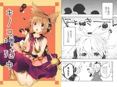 キノコ増殖中