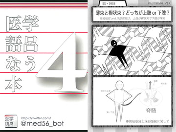 医学語呂なう本4 [医療美術部]