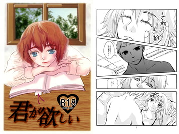 君が欲しい [独断と偏見]