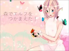 森でエルフを捕まえた!