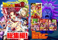 東方ドラゴンボ○ル(9)総集編