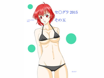 セ○グラ 2015 その五 [FSI]