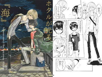 ホタルが光る『海』 [のろま虫]