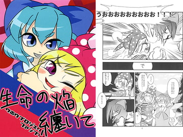 生命の焔纏いて [メタグロスタイガー]