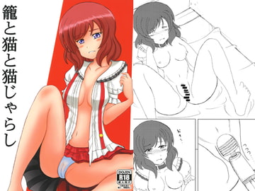 籠と猫と猫じゃらし [Carthaminum]