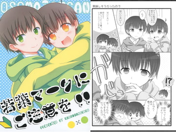 若葉マークにご注意を！！ [柏処-かしわどころ-]