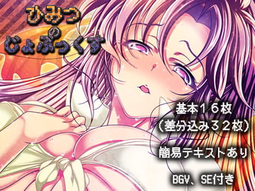 ひみつのじょぶっくす [鮭とば飯]