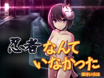 忍者なんていなかった [空色書房]