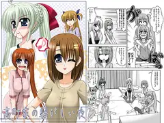 高町家の騒がしい夜