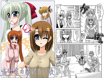 高町家の騒がしい夜 [R・blue]