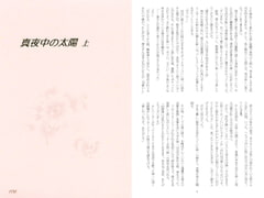 真夜中の太陽 上 [陽のあたる場所]