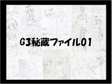 G3秘蔵ファイル01 [マジックハンズ]