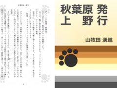 秋葉原発上野行 [Gradual Improvement]