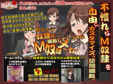 あなたの奴○に調教してください!M奴○メーカー [LIPHIP]