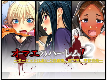 オマエのハーレム!2～ターゲットはあいつの義妹、留学生、生徒会長～ [五百年貯金箱]