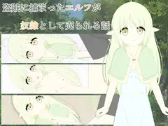盗賊に捕まったエルフが奴○として売られる話
