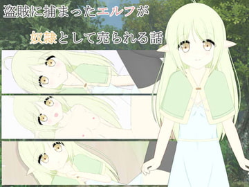 盗賊に捕まったエルフが奴○として売られる話 [わたりどり]