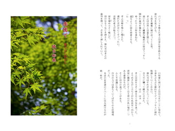 楽園で後ろから前から / 織末彬義 [アカプルコの月企画]