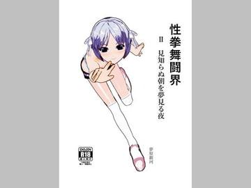 性拳舞闘界 2 見知らぬ朝を夢見る夜 [美少女夢世界]