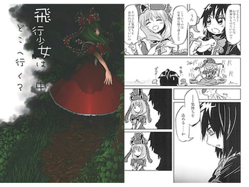 飛行少女はどこへ行く？ 中 [厄二名]