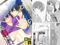 俺と兄貴の痴○快速 [ananan]