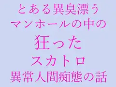 とある異臭漂う マンホールの中の 狂った スカトロ 異常人間痴態の話