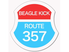 ROUTE357 [Beagle Kick]