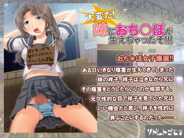 大変だ!妹におち○ぽが生えちゃったぞ!!! [ソドムトゴモラ]