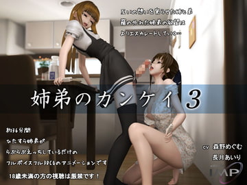 姉弟のカンケイ3 [IMP]