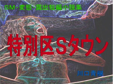 SM・変態・露出短編小説集「特別区Sタウン」 [Mドリーム]