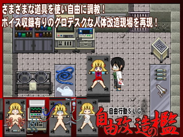 自由改造の檻 [QUICKSILVER]