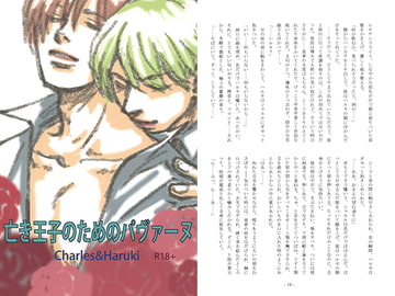 亡き王子のためのパヴァーヌ [パープルアイズ]