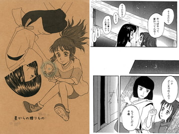 星からの贈りもの [たまたま堂]