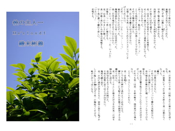 「He's load I」織末彬義 [アカプルコの月企画]