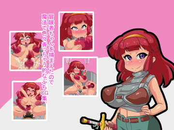 A Little Fun With A Captured Adventuress [F-Room]