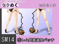 SM14(5)レム武器追加パッチ