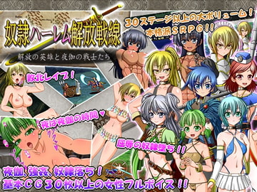 奴○ハーレム解放戦線～解放の英雄と夜伽の戦士たち～ [シャレイドGirl's]