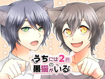 うちには2匹の黒猫がいる [ハコニワ。]