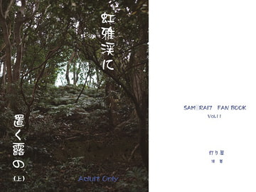 虹雅渓に置く露の(上巻) [灯り屋]