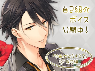 今夜はどうする?2 俊也編 [littlenoiseproject]