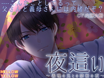 夜○い〜義理の兄との禁断の夜〜 [MELLOW YELLOW]