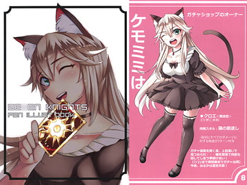 se○en knights Fan ILLUST book [にゃんLDK]
