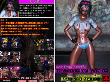 ヒストリーオブ・シンディ マトリックスマッチ本 [ブロークンディーヴァ]