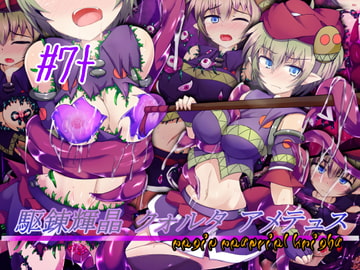 駆錬輝晶 クォルタ アメテュス #7+ [kudarizaka guardrail]