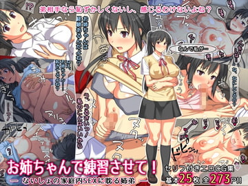 お姉ちゃんで練習させて! ― ないしょの家庭内SEXに耽る姉弟 ― [ぱすとG (Past Gadget)]