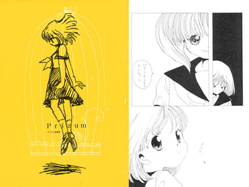 プリズム愛蔵版 [ほしのゆりか]